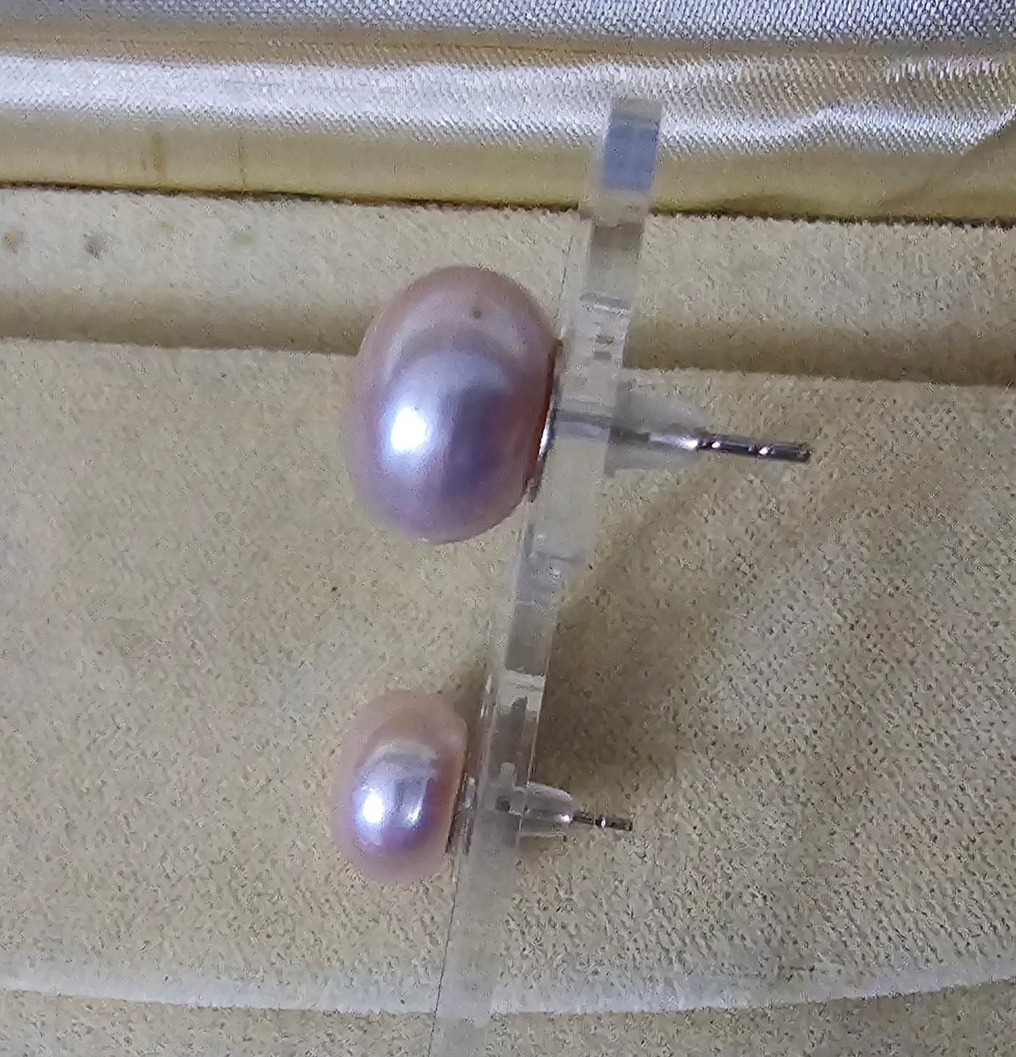 Pink Tahitian pearl button earrings 12mm diameter, very reflective, beautiful colour